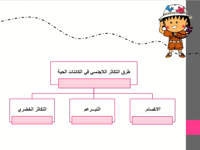 درس نموذجي "التكاثر" علوم الترم الاول صف خامس ابتد...