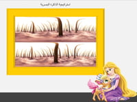 درس نموذجي "العناية بشعري وأظافري" اسرية صف سادس ا...