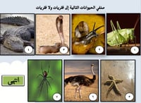 درس نموذجي "تصنيف الكائنات الحية" علوم صف خامس الت...