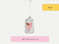 لعبة الطائر المفقود