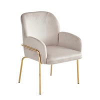 كرسي مفرد مخمل بقاعدة أستيل بيج