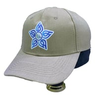 كاب التجمعات الصحية