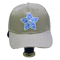 كاب التجمعات الصحية