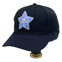 كاب التجمعات الصحية