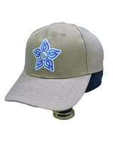 كاب التجمعات الصحية