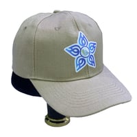 كاب التجمعات الصحية