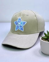 كاب التجمعات الصحية