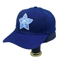 كاب التجمعات الصحية