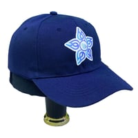 كاب التجمعات الصحية