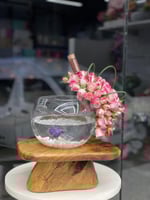 حوض سمك الزينة والورد