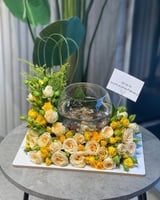 تنسيق سمكة زينة فايتر