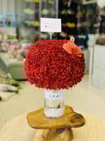 فازة جبسو فيلا وسمكة زينة