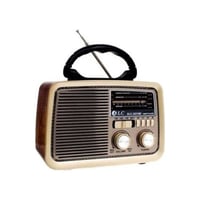 راديو DLC مع usb و بلوتوث – بني/بيج