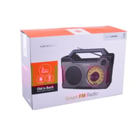 راديو ذكي متنقل مايكروديجيت MRS009T