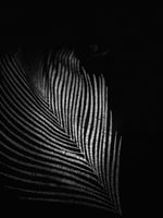 اكياس عبايات قطيفه مطرزة بالاسم