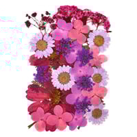 ورد مجفف مجموعة رقم 6