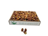 صقعي فاخر حبه كبيرة ومتوسطة ( 5 ونص)