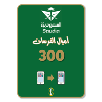 300 أميال الفرسان الخطوط السعودية