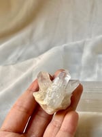 كلير كوارتز | mini