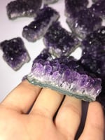 امثيست عنقودي