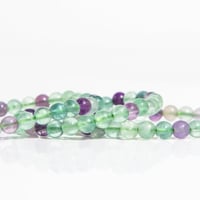 اسوارة رينبو فلورايت