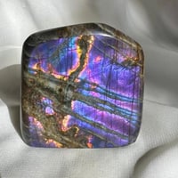 لابرادوريت بنفسجي