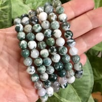 اسوارة عقيق طحلبي