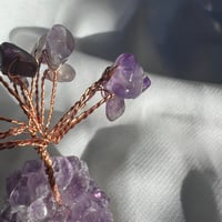 شجرة امثيست صغيرة