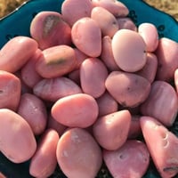 اوبال وردي مصقول