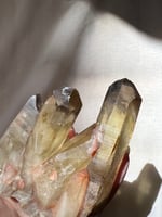 سترين عنقودي