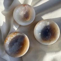 صحن زهرة العقيق