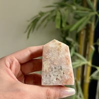 برج امثيست وردي 2