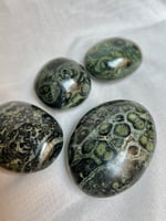 جاسبر الكمبابا مصقول