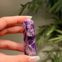 برج امثيست chevron