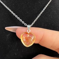 سلسال سترين