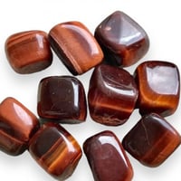 عين النمر الاحمر