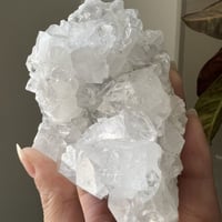 ابوفيليت الماسي عالي الجودة كبير