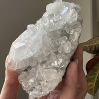 ابوفيليت الماسي عالي الجودة كبير