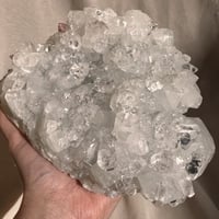 ابوفيليت الماسي عالي الجودة كبير جدا