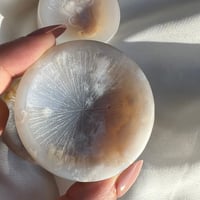 صحن زهرة العقيق