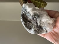 ابوفيليت الماسي عالي الجودة كبير