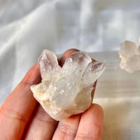 كلير كوارتز | mini