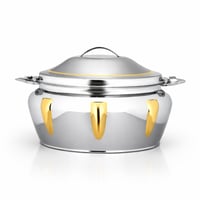 حافظة طعام السيف NAB استيل هندي بغطاء قفل فضي وذهب...