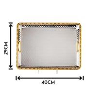 صينية تقديم مستطيل معدن فضي وذهبي