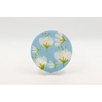 طقم سفرة اركوبال 52 قطعة