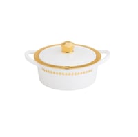 حافظات طعام بلاستيك 4 قطعة ابيض وذهبي هندي