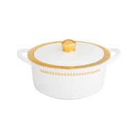 حافظات طعام بلاستيك 4 قطعة ابيض وذهبي هندي