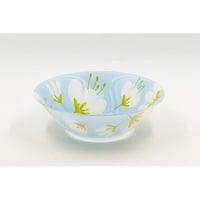 طقم سفرة اركوبال 52 قطعة