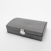 صندوق جلد فضي