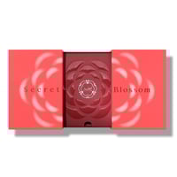 قصة مجموعة سيكريت بلوسوم - 3 حبات